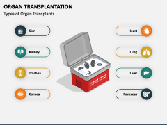 Organ Transplantation PPT Slide 3