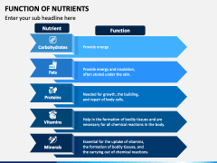 Function of Nutrients PowerPoint and Google Slides Template - PPT Slides