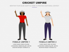 Cricket Umpire PPT Slide 2