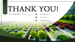 Hydroponic Farming Business Plan PPT Slide 15