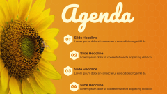Honey Theme PPT Slide 2