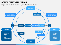 Agriculture Value Chain PowerPoint and Google Slides Template - PPT Slides