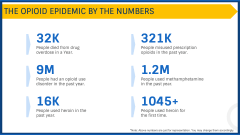 Opioid Crisis PPT Slide 9
