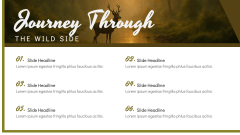 Wildlife Conservation Theme PPT Slide 2
