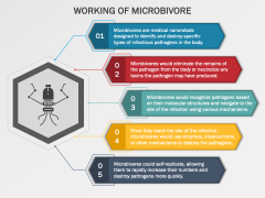 Microbivore PPT Slide 2