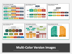 Multi Divisional Structure PPT Multicolor Combined