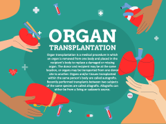 Organ Transplantation PPT Slide 1