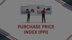 Purchase Price Index (PPI) Animated Presentation - SketchBubble