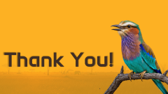 Safari Theme PPT Slide 15