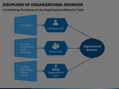 Disciplines of Organizational Behavior Animated Presentation - SketchBubble