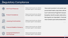 Insurance Company Pitch Deck PPT Slide 11