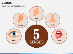 presentation about five senses