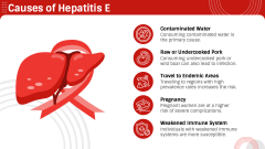 Hepatitis E PPT Slide 4