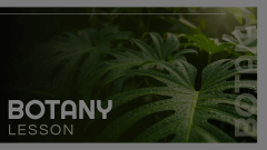 Botany Lesson Presentation Animated Presentation - SketchBubble