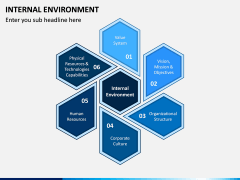 Internal Environment PPT Slide 2