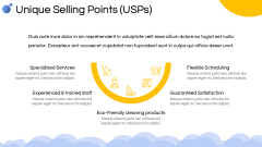 Cleaning Service Company Profile PPT Slide 7