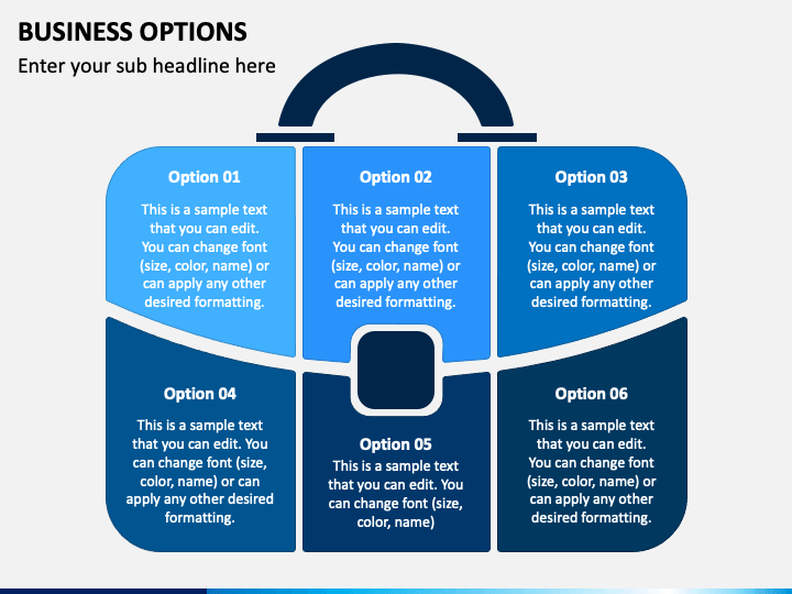 Business Options PPT Slide 1