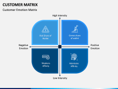 Customer Matrix PPT Slide 2