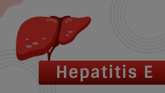 Hepatitis E Animated Presentation - SketchBubble