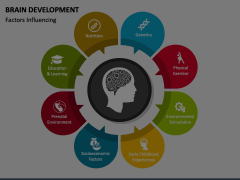 Brain Development Animated Presentation - SketchBubble