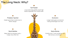 Giraffe Presentation Theme PPT Slide 8