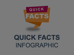 Quick Facts Infographics Animated Presentation - SketchBubble