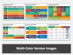 Project Executive Summary PPT Multicolor Combined