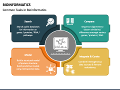 Bioinformatics PowerPoint And Google Slides Template - PPT Slides