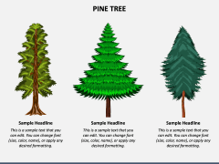 Pine Tree Graphics for PowerPoint and Google Slides - PPT Slides