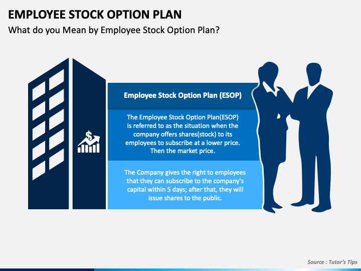 Employee Stock Option Plan PPT Slide 1