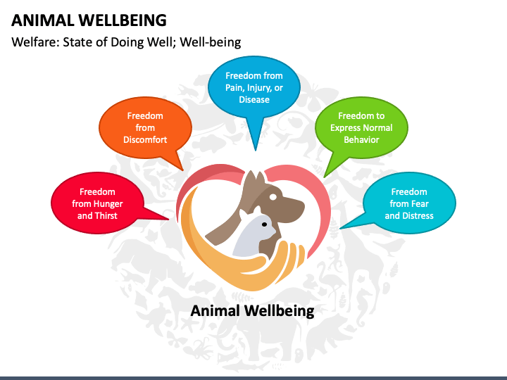 Animal Wellbeing PowerPoint Template - PPT Slides