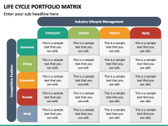 Product Life Cycle Matrix