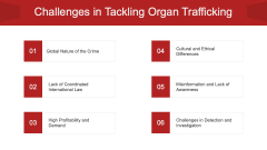 Organ Trafficking PPT Slide 10