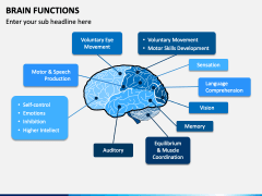 Brain Functions PPT Slide 1