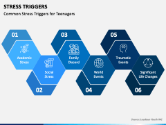 Stress Triggers PPT Slide 2