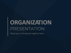Organization Infographic Animated Presentation - SketchBubble