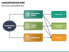 Concentration Risk PPT Slide 4