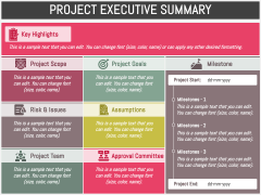 Free - Project Executive Summary PowerPoint Template and Google Slides ...