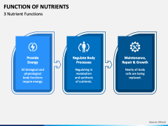 Function of Nutrients PPT Slide 3