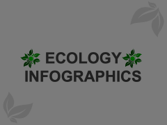 Ecology Infographics Animated Presentation - SketchBubble