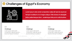 Economy of Egypt PPT Slide 9