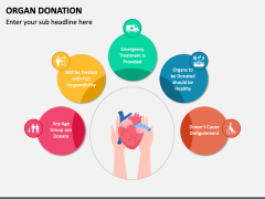 Organ Donation PowerPoint and Google Slides Template - PPT Slides