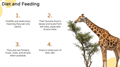 Giraffe Presentation Theme PPT Slide 7