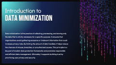 Data Minimization PPT Slide 2