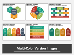 Public Financial Management PPT Multicolor Combined
