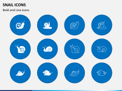 Snail Icons Slide 2