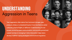 Aggression In Teens Workshop PPT Slide 3