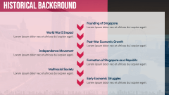 Case Study of Singapore PPT Slide 4