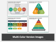 Organizational Project Management Multicolor Combined