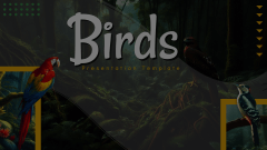 Birds Presentation Animated Presentation - SketchBubble